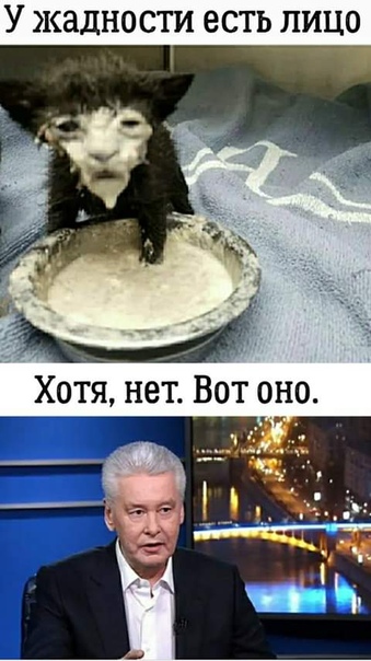 - Если вы заботитесь о своём пищеварении, мой вам добрый совет: не говорите за обедом о большевизме и о медицине И боже вас сохрани не читайте до обеда советских газет.- Так ведь других и нет,
