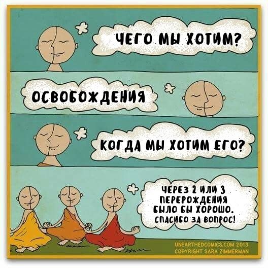 Буддийский юмор вк