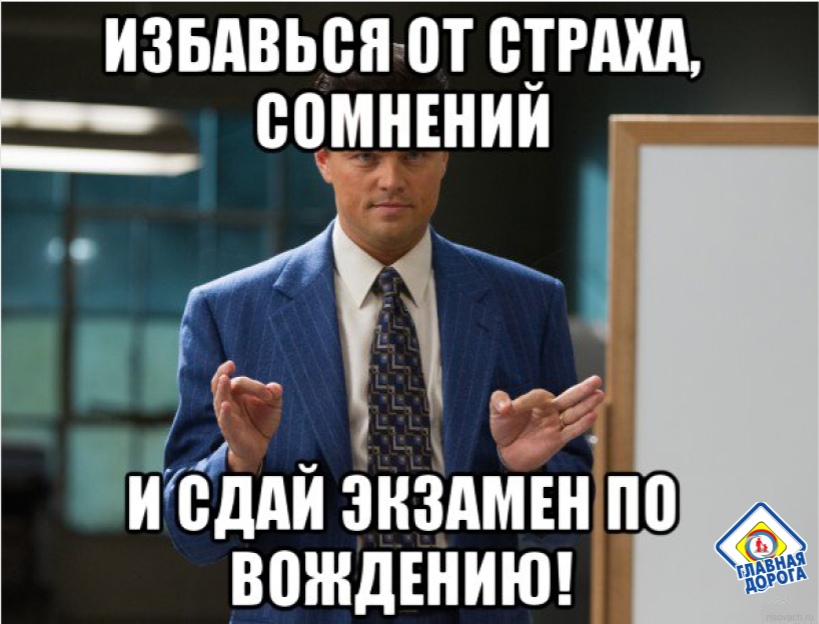 Экзамен гибдд смешные картинки, лебедь картинки