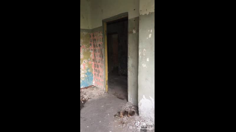 Кукареку пи🤭окрас