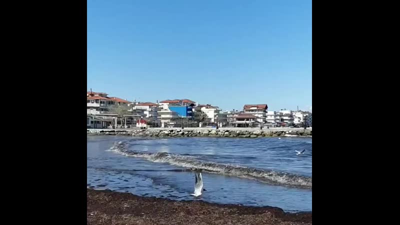 VID_22800419_211022_957.mp4